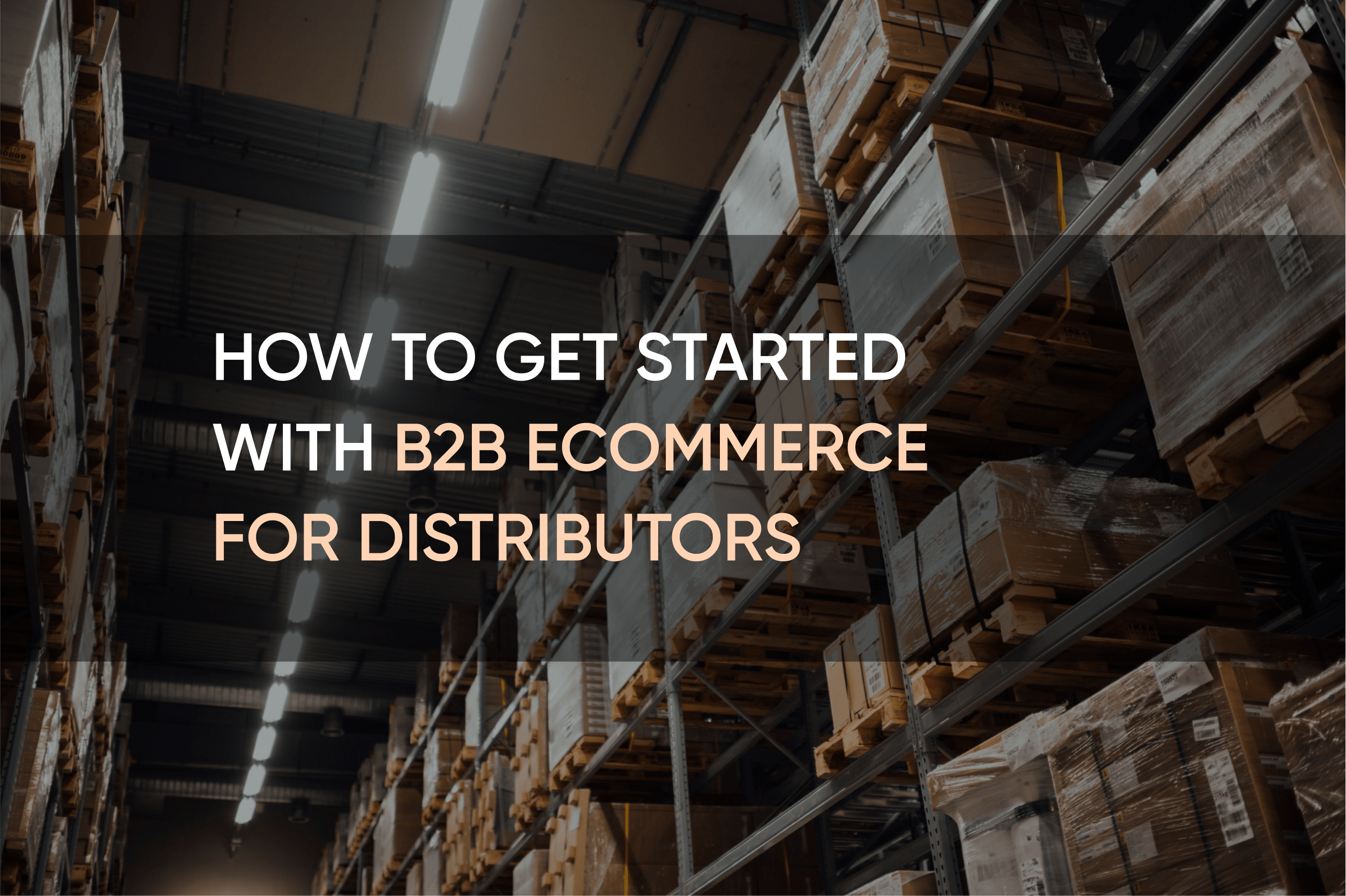 How to Get Started with B2B eCommerce for Distributors | SolidBrain